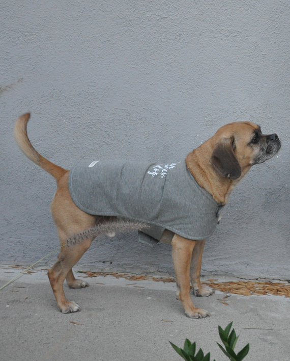 Super cute and soft dog shirt made from recycled bottles and reclaimed cotton! Trendy Little Sweethearts