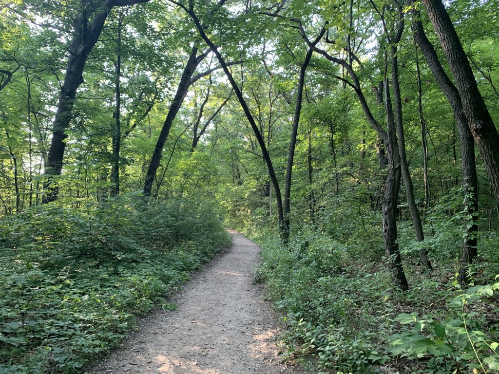 Hiking in Indiana Dunes National Park