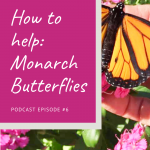 Patti Andrasak from Inner Peace Reiki teaches us how to help monarch butterflies on the For Animals For Earth Podcast.