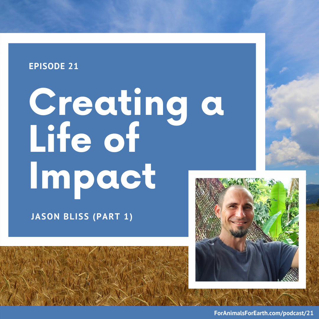 Jason Bliss from the Sharing Insights Podcast joins me from Pérez Zeledón, Costa Rica to talk about permaculture, ecological impact centers, and living a life of impact. 