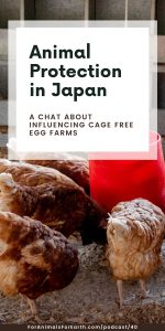 Maho joins me to talk about farm animal protection in Japan. She specifically works to free egg laying hens from confinement for egg production through The Humane League Japan.