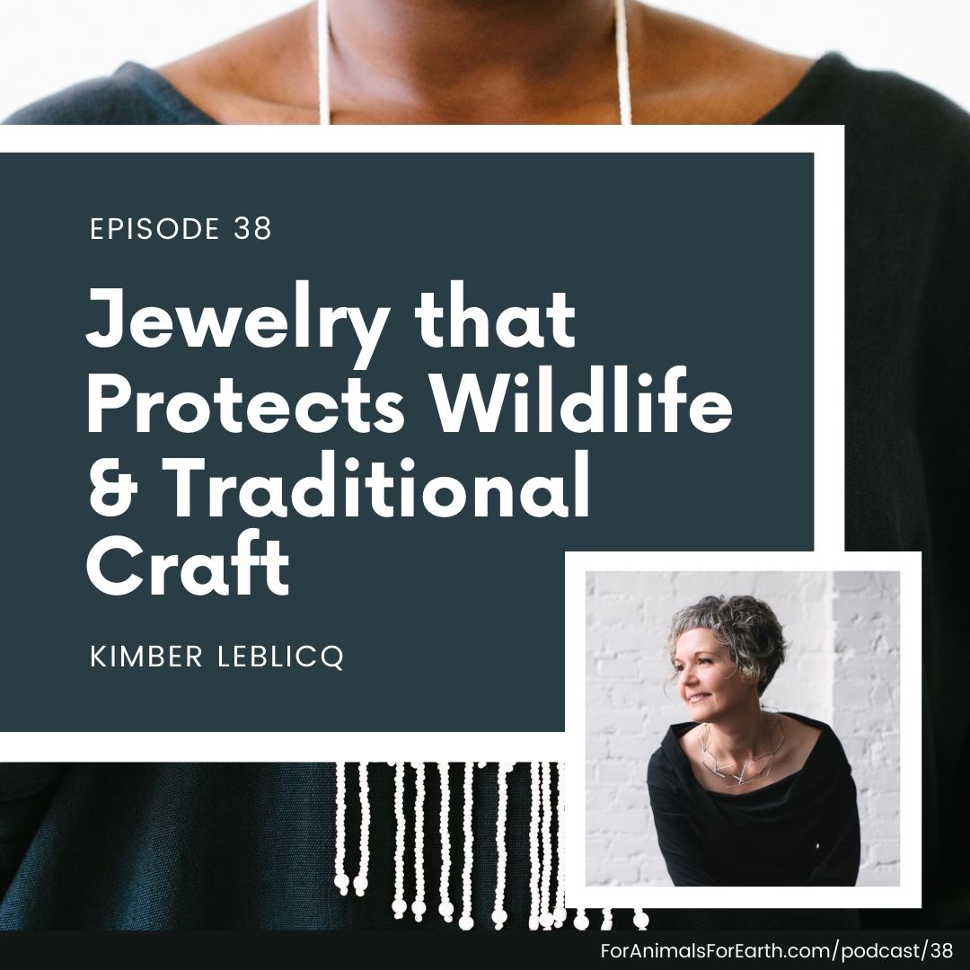 This jewelry line is preserving the traditional craft of the Maasai people while providing a real, sustainable solution to wildlife conflict in Africa. Join me for my conversation with convener and curator, Kimber Leblicq.