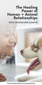 Affordable housing and pet rescue, Crossroads Campus, shares the healing power of human animal relationships in episode 42 of the For Animals For Earth podcast.