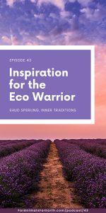 Being an eco warrior can be exhausting, but Ehud Sperling, founder and president of Inner Traditions International, shares inspiration to help us keep going in episode 43 of the For Animals. For Earth. podcast.