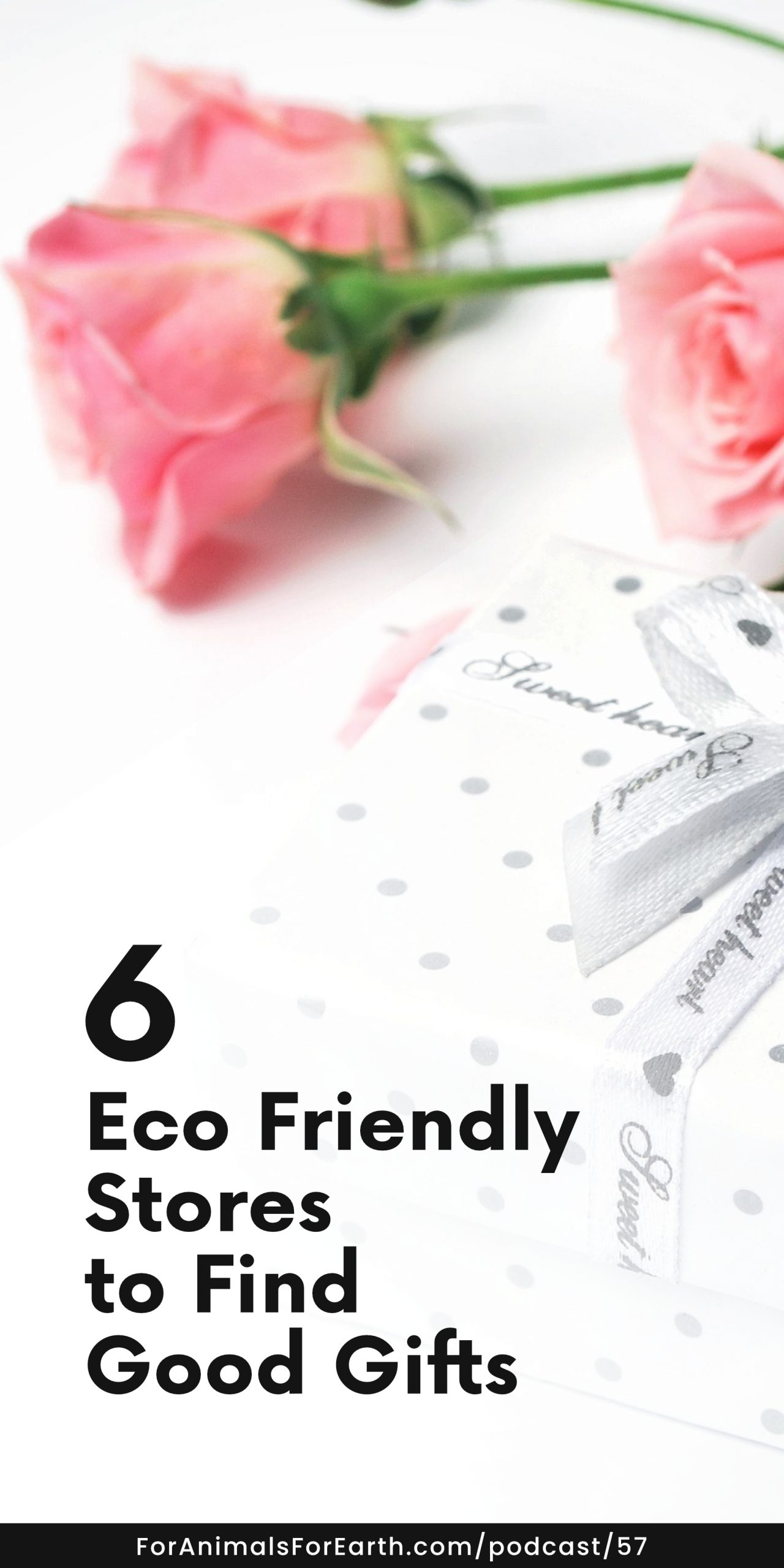 Eco friendly stores to find good gifts for the conscious shopper, on the For Animals. For Earth. podcast