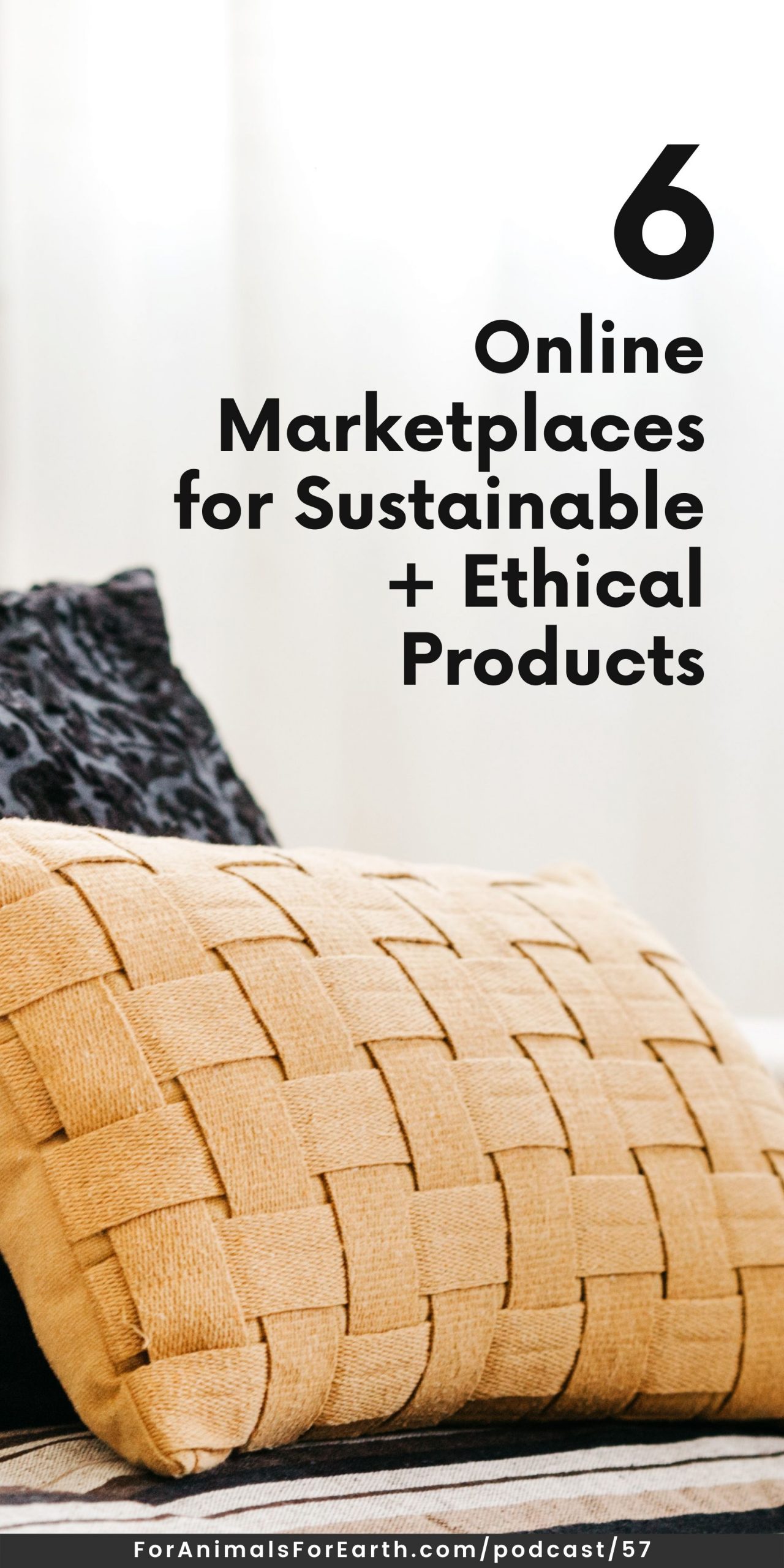 Online marketplaces for sustainable and ethical products, on the For Animals. For Earth. podcast