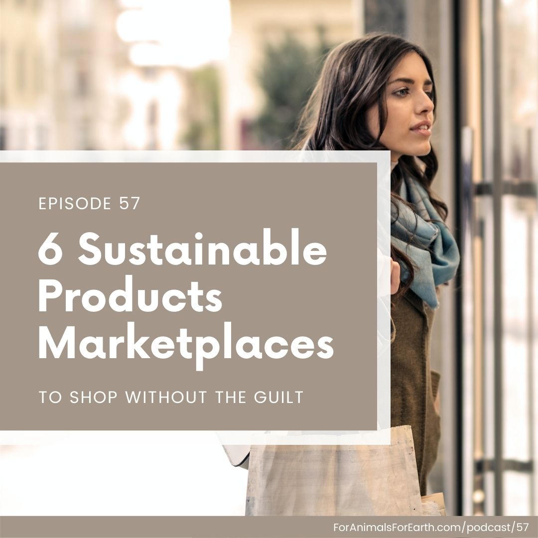 Sustainable product marketplaces for the conscious shopper, on the For Animals. For Earth. podcast