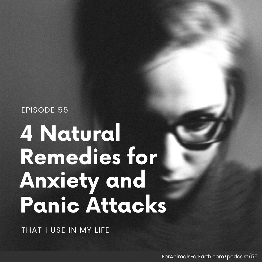 As an empath I feel the pain of animals deeply. Here are 4 natural remedies for anxiety and panic attacks that I pull from in my daily life. For Animals. For Earth. podcast
