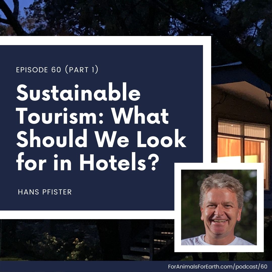 What should we look for in hotels to embrace sustainable tourism? I chat with Hans Pfister of Cayuga Collection about what they do differently to be more sustainable in the luxury hotel industry. Episodes 60 and 61 of the For Animals. For Earth. podcast.