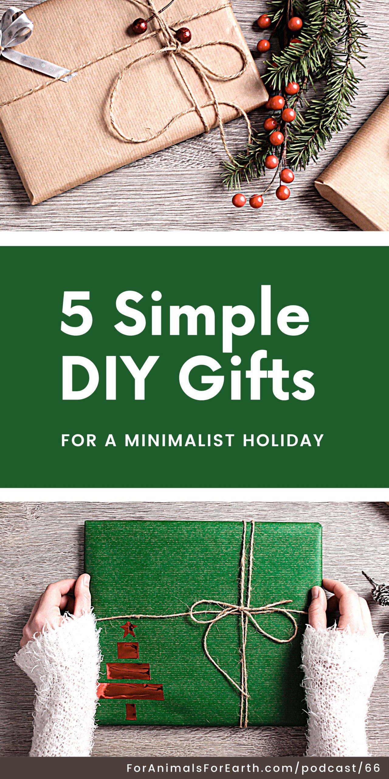 Tis' the season for gift-giving, and I've come up with 5 DIY minimalist gift ideas for your earth and animal-loving friends.