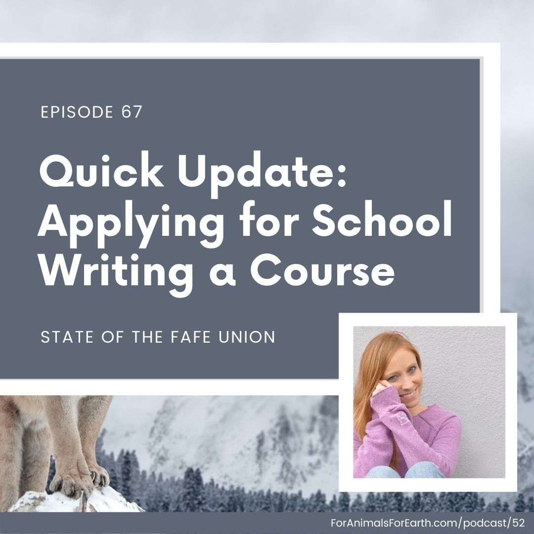 Quick Update: Applying for School & Writing a Course - episode 67