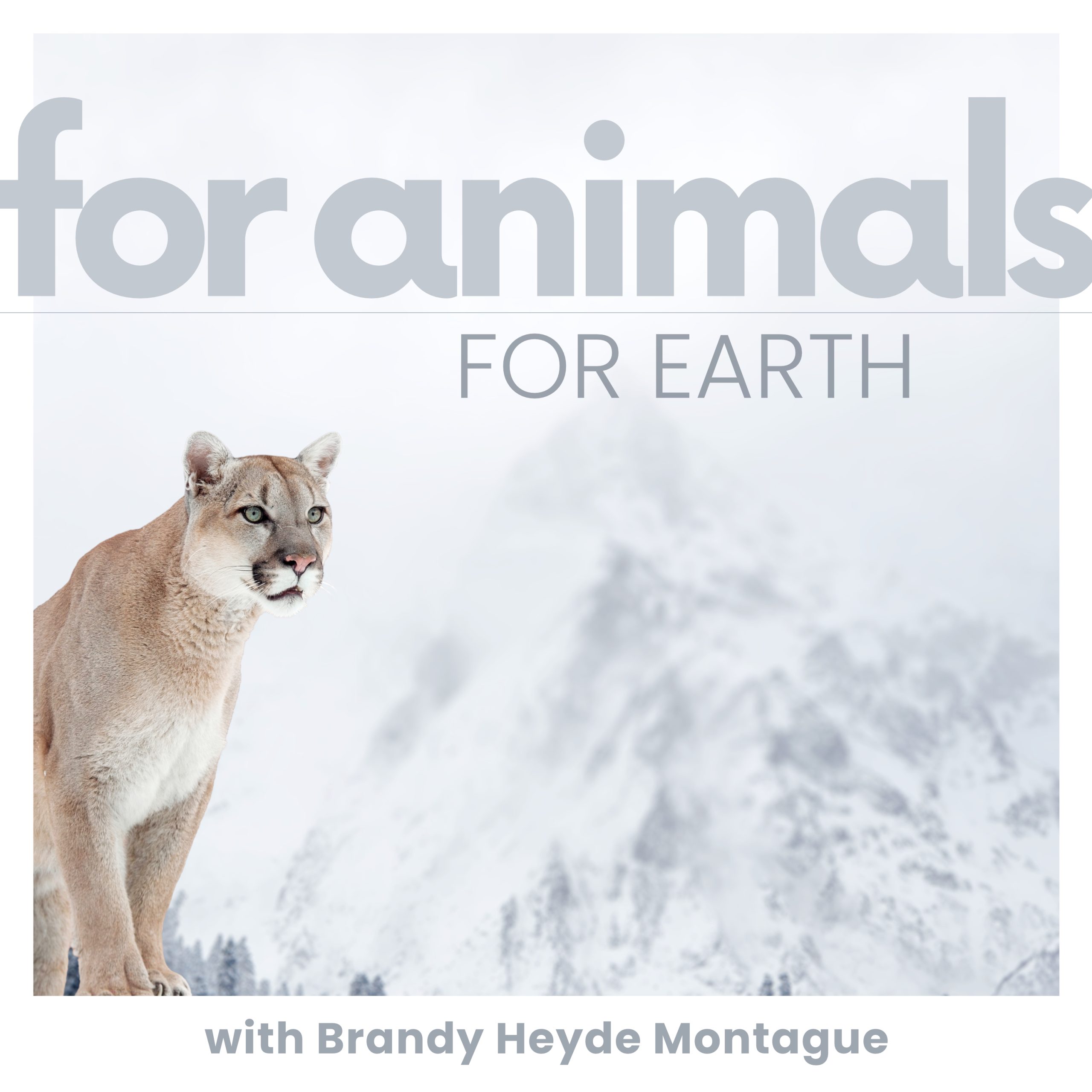For Animals For Earth Show Thumbnail